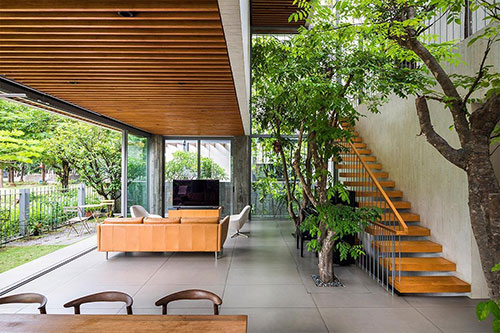 Tại sao nên thiết kế phòng khách có cây xanh?